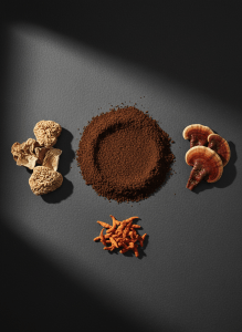 Minimalist editorial flat lay of ground coffee alongside dried functional mushrooms lion's mane reishi cordyceps on a dark matte surface, moody directional light, earthy natural specialty product photography, cream and espresso palette